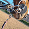 Lunging Connector Comfort Solo