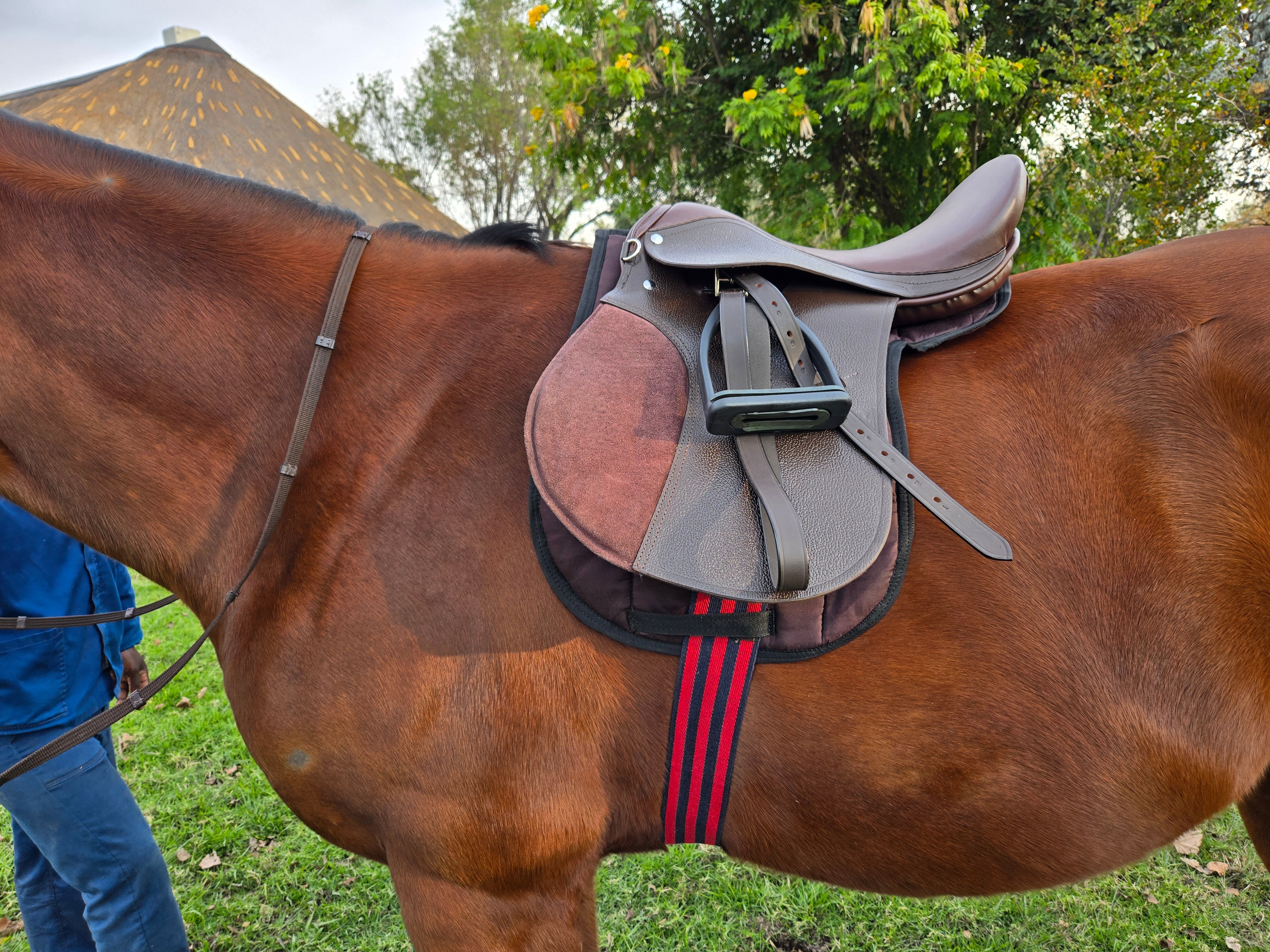 Saddle Starter Kit Solo