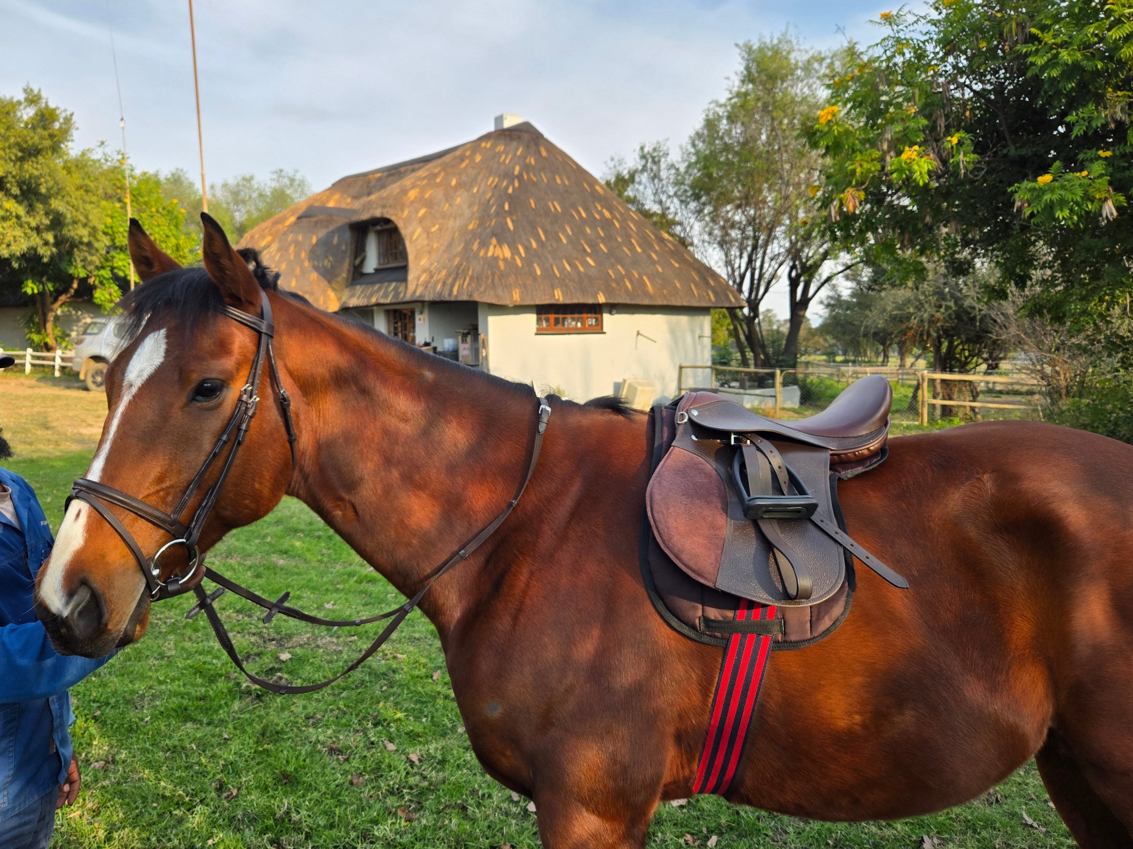 Man standing next to a brown horse with a saddle in an outdoor setting.