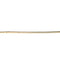 Showing Cane Bamboo