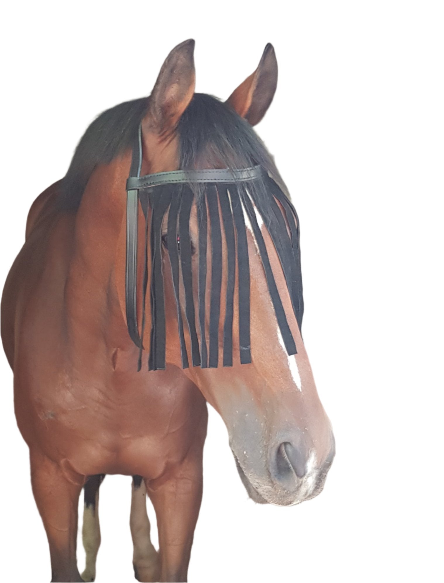 Fly Fringe Leather Solo