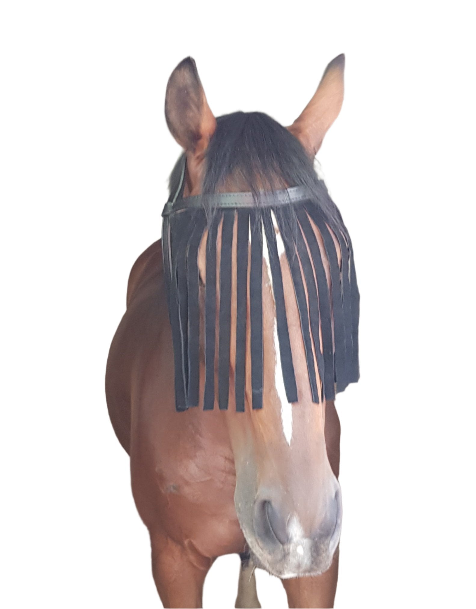 Fly Fringe Leather Solo