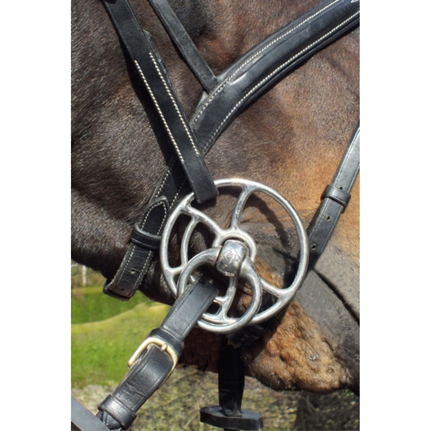 Universal Bit Leather Mouth