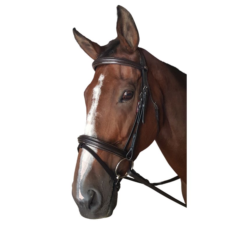 Bridle Padded Poll Metallic Piping