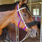 Bridle Endurance Easy Clip