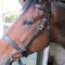 Bridle Endurance Leather Solo