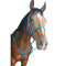 Bridle Endurance + Breastplate Biothane Solo
