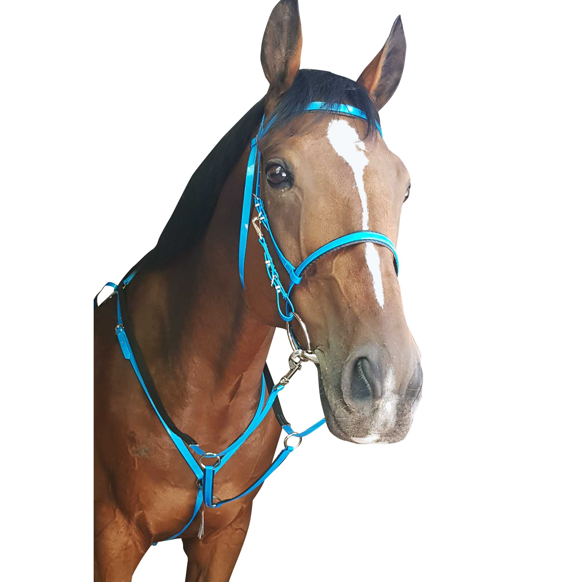 Cottage Craft Biothane Endurance Bridle