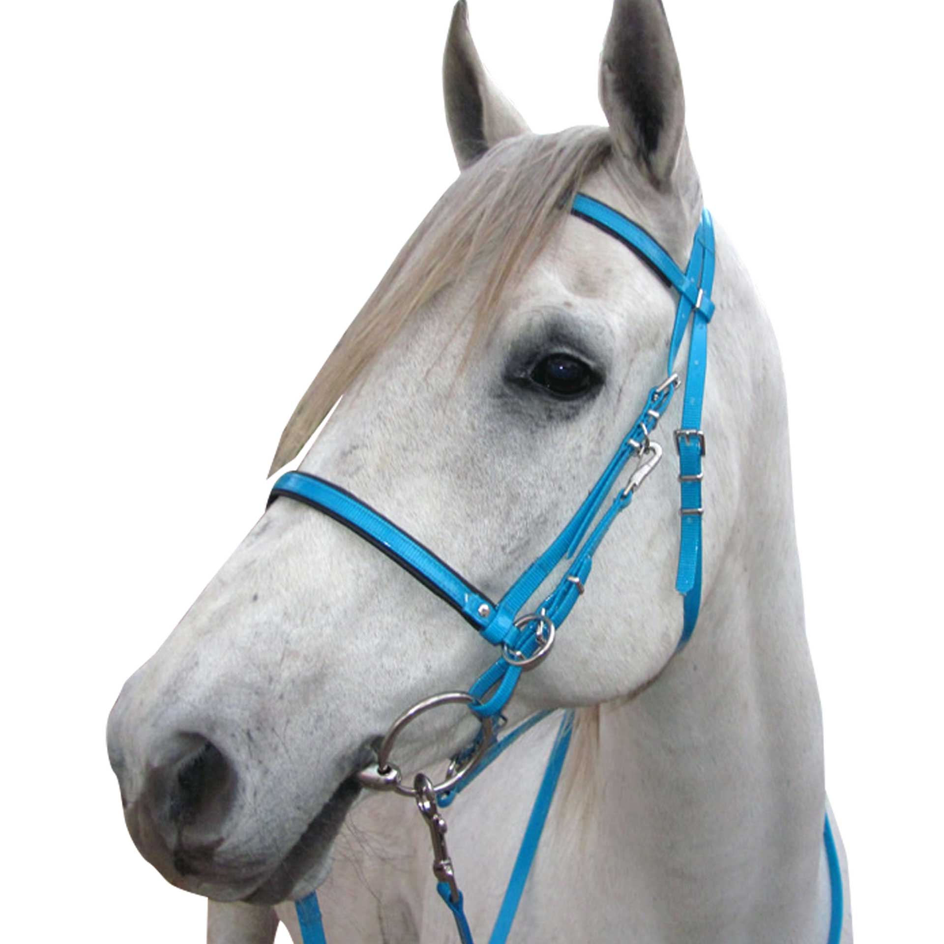 Bridle Endurance Biothane Solo