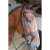 Bridle Padded Poll Solo