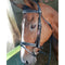 Bridle Padded Poll Metallic Piping