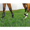 Brushing Boot Neoprene Solo Set