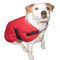 Dog Jacket Solo