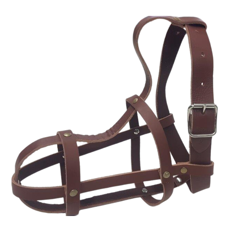 Dog Muzzle Leather Solo
