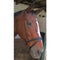 Flash Noseband Raised & Padded Leather Solo