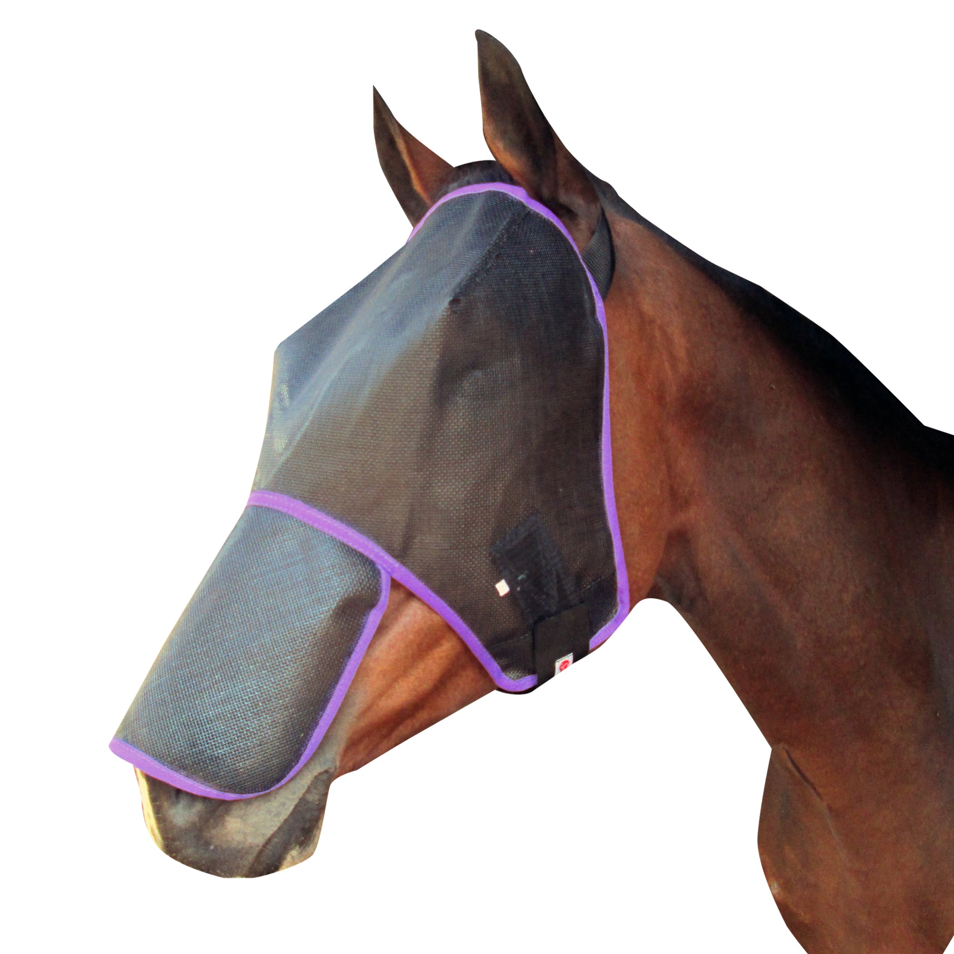 Fly Mask + Nose Flap Solo