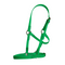 Halter Biothane Solo Foal/Mini