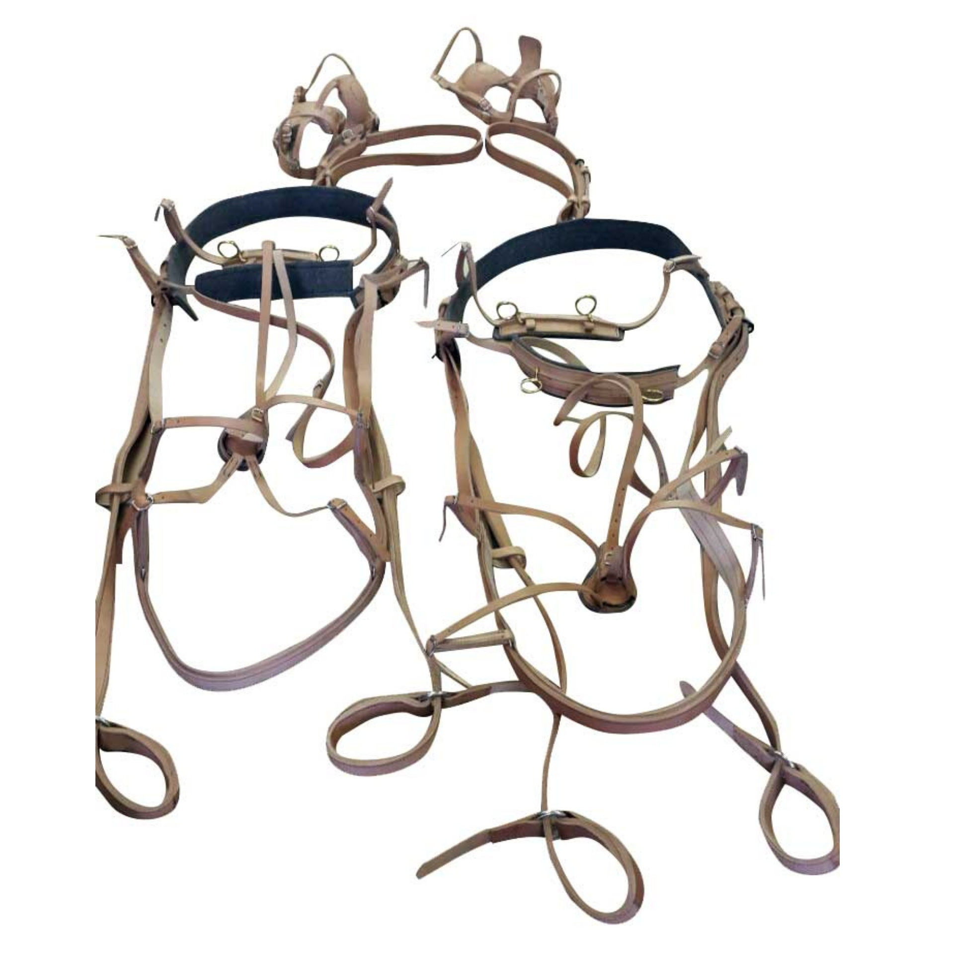 Harness Horse Double Leather Solo Solo Saddlers