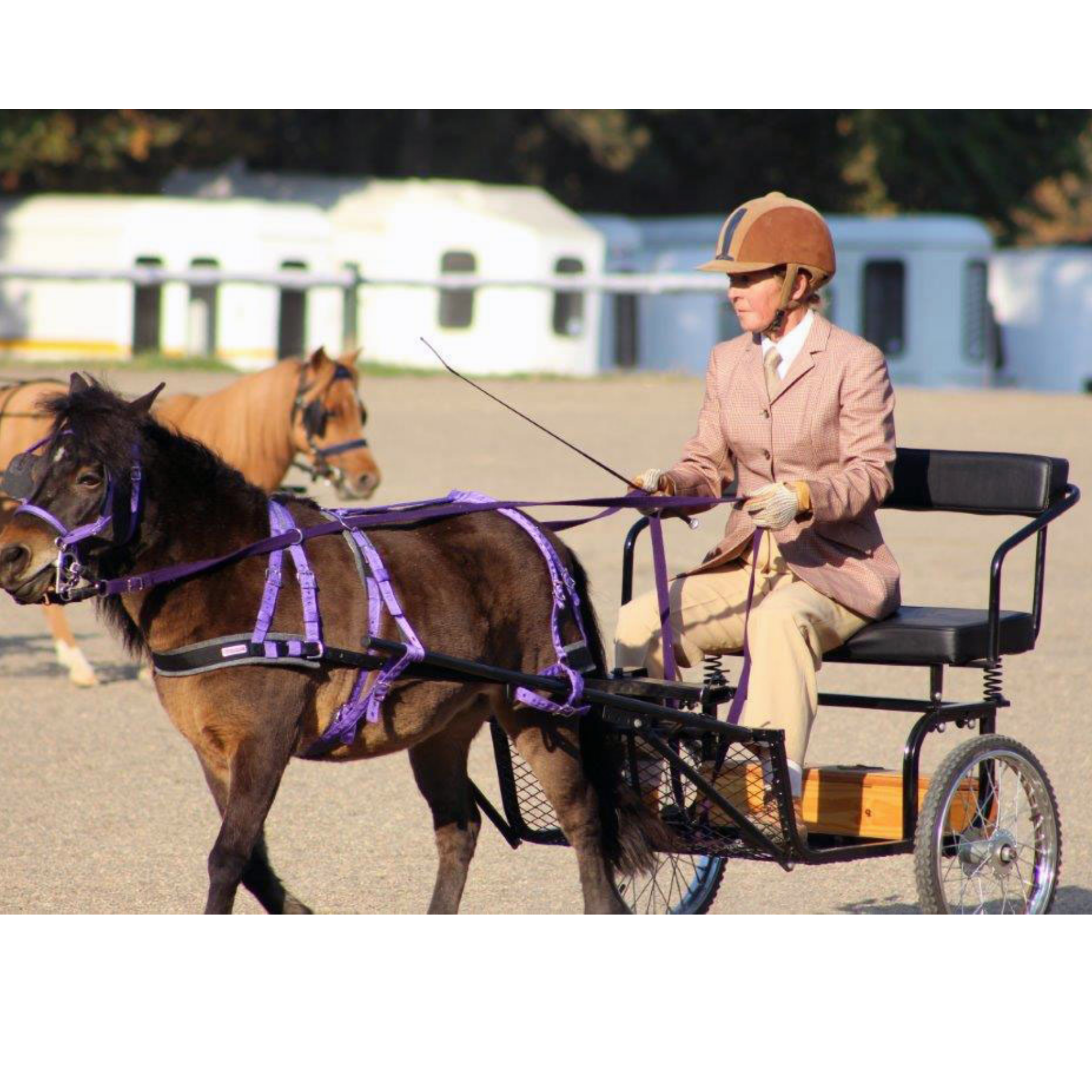 Harness Miniature Single Nylon Solo