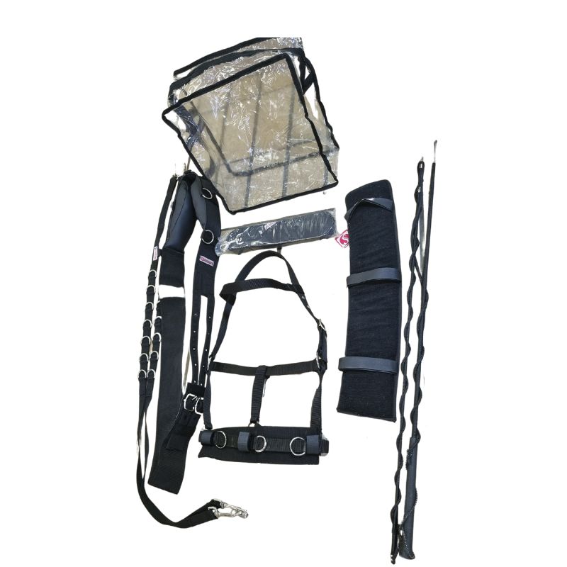 Lunging Set With Bag Solo