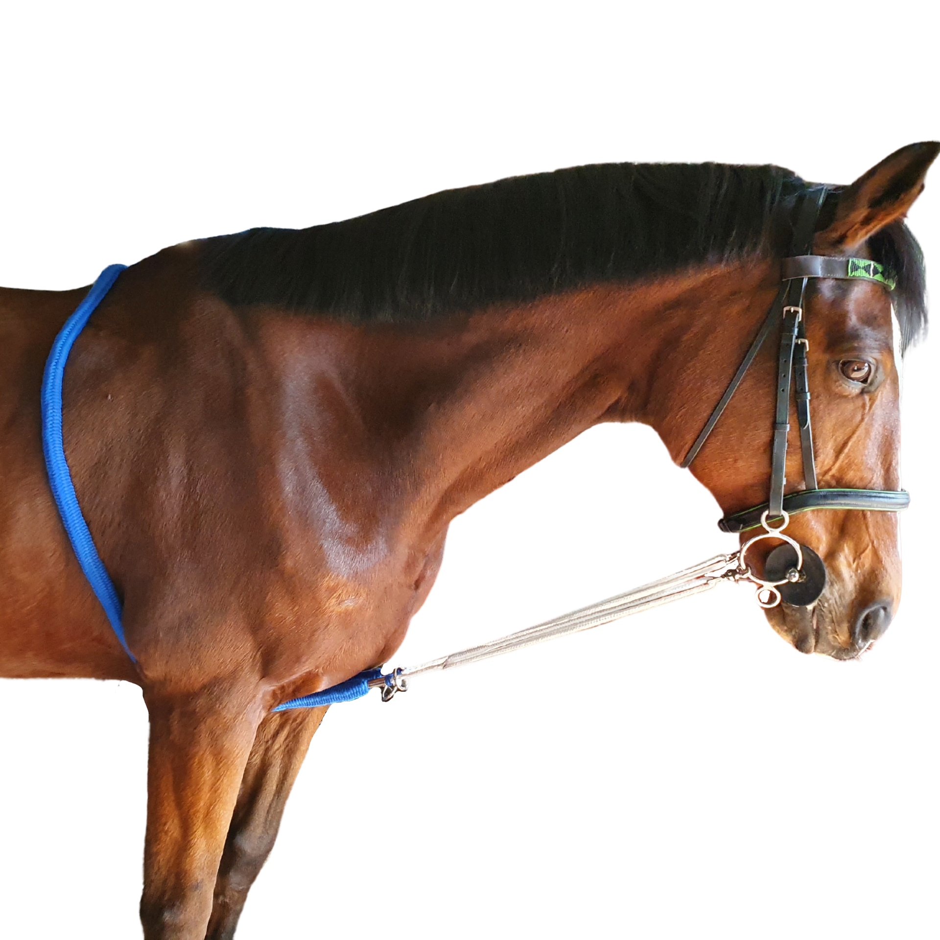Lunging Snake Solo