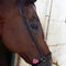 Noseband Drop Leather Solo