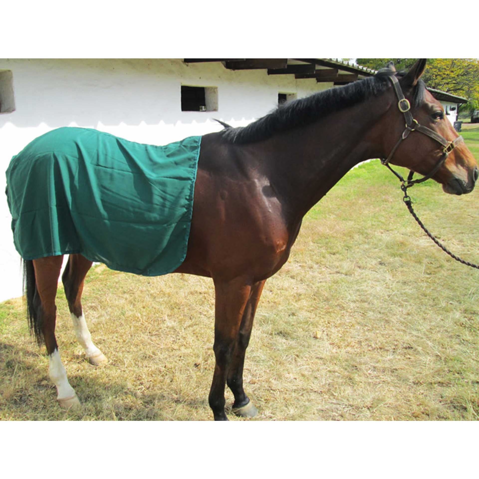 Quarter Sheet Cotton Solo