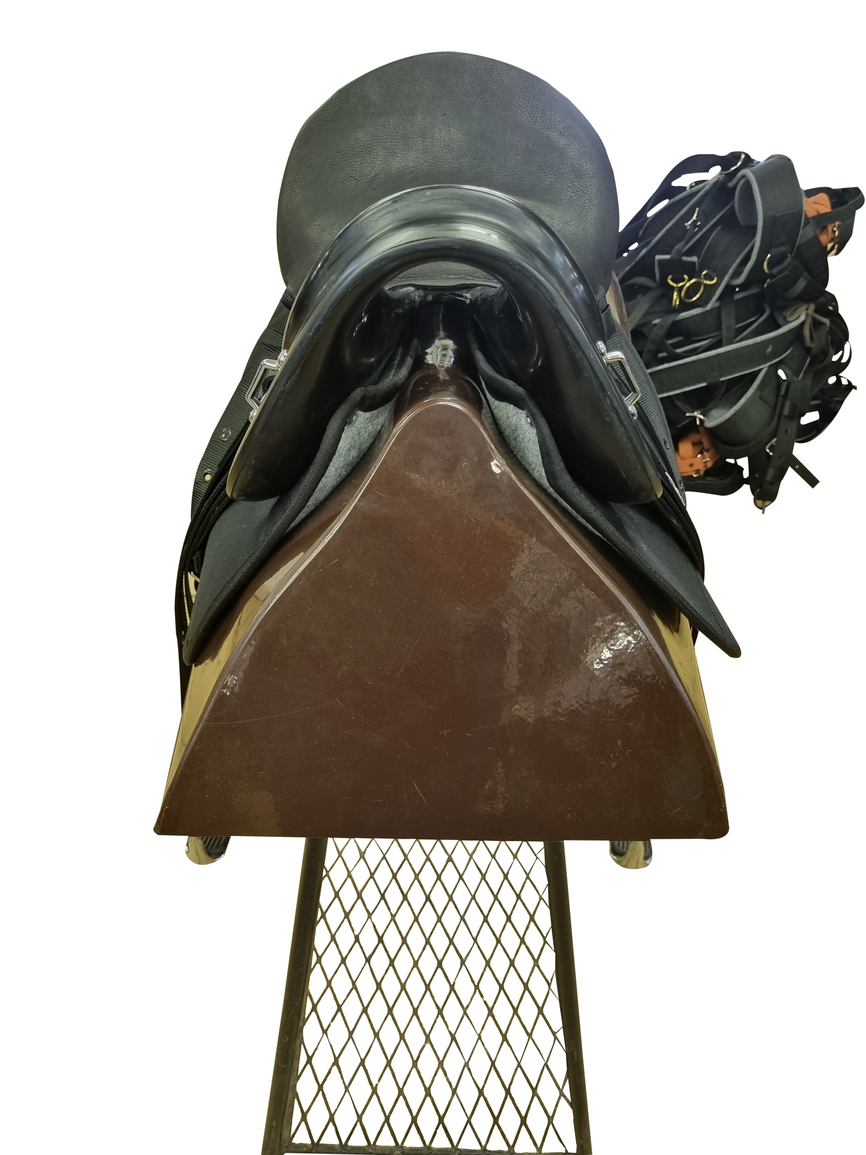 Saddle Discovery Solo