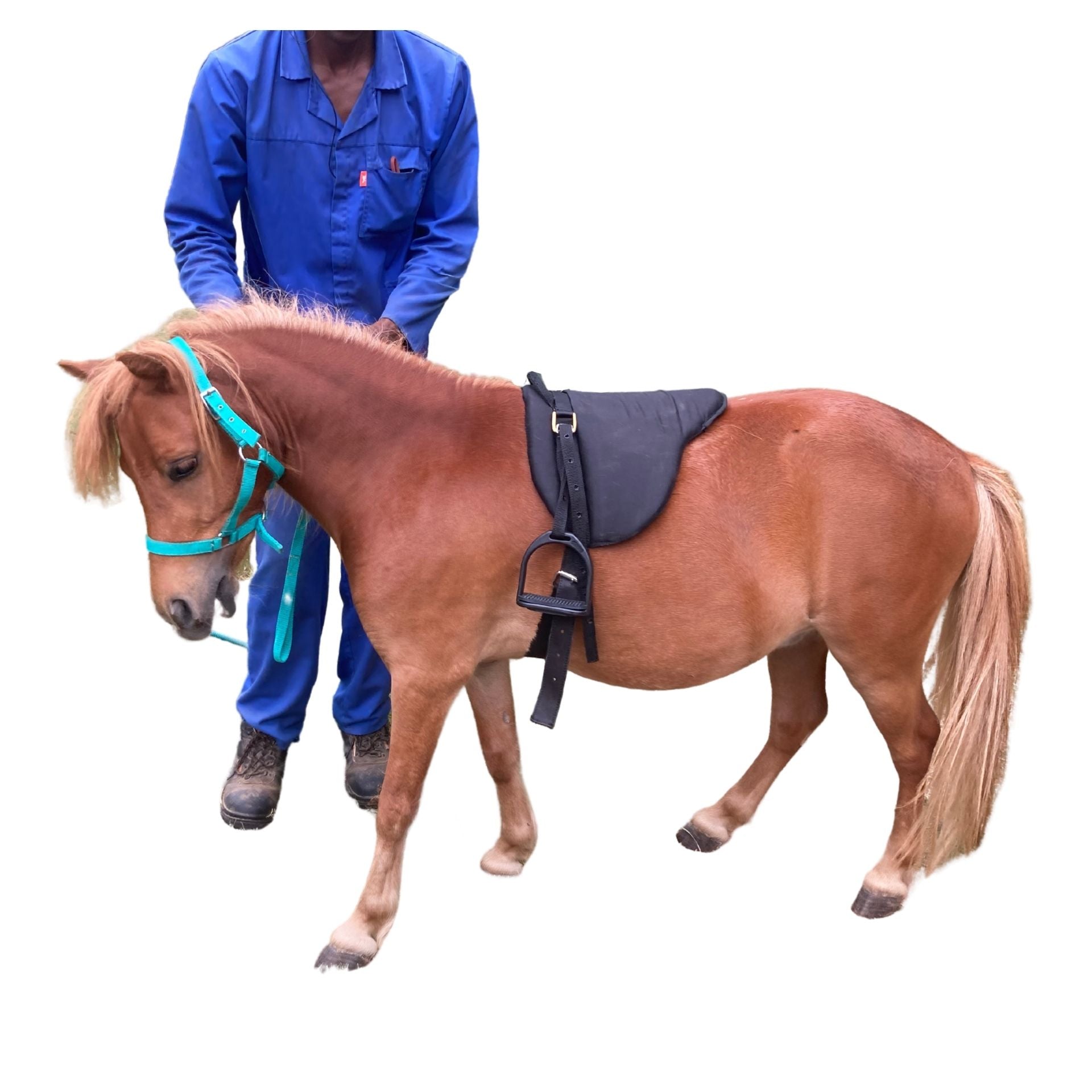 Saddle Pony Pad Cotton Solo