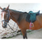 Saddle Starter Kit Solo Upgrade