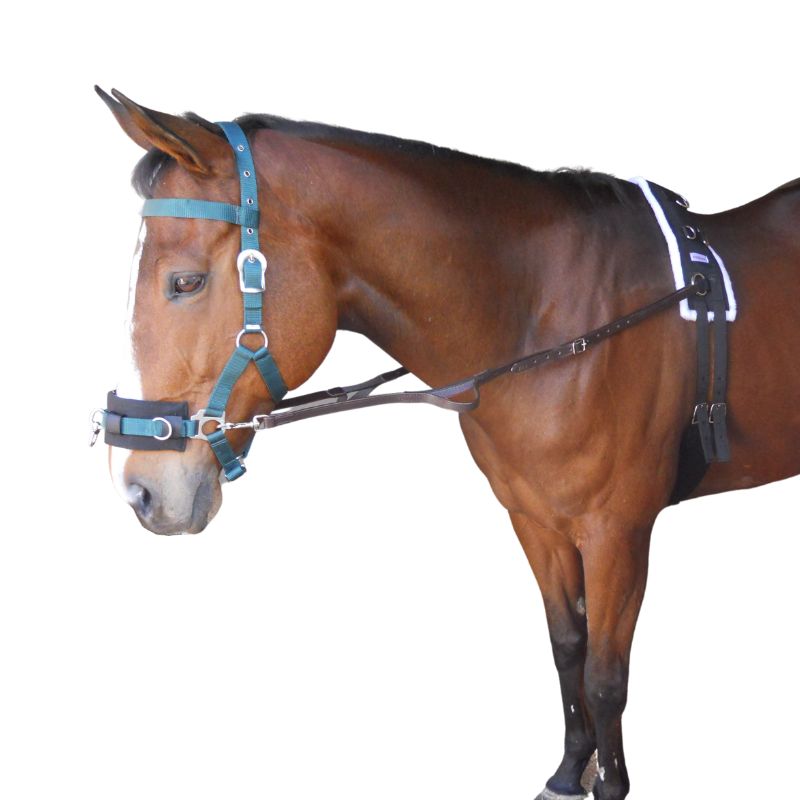 Side Reins Leather Numbered Solo