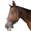 Halter Horse Double Leather Solo