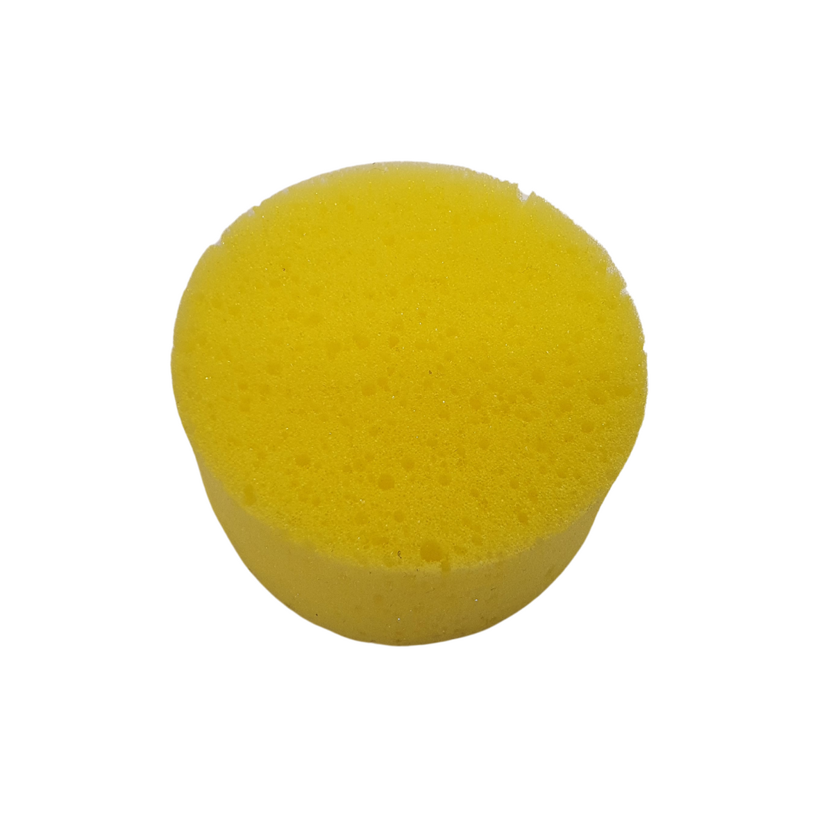 Natural Sea Sponge for Horse Grooming | Solo Saddlers SA