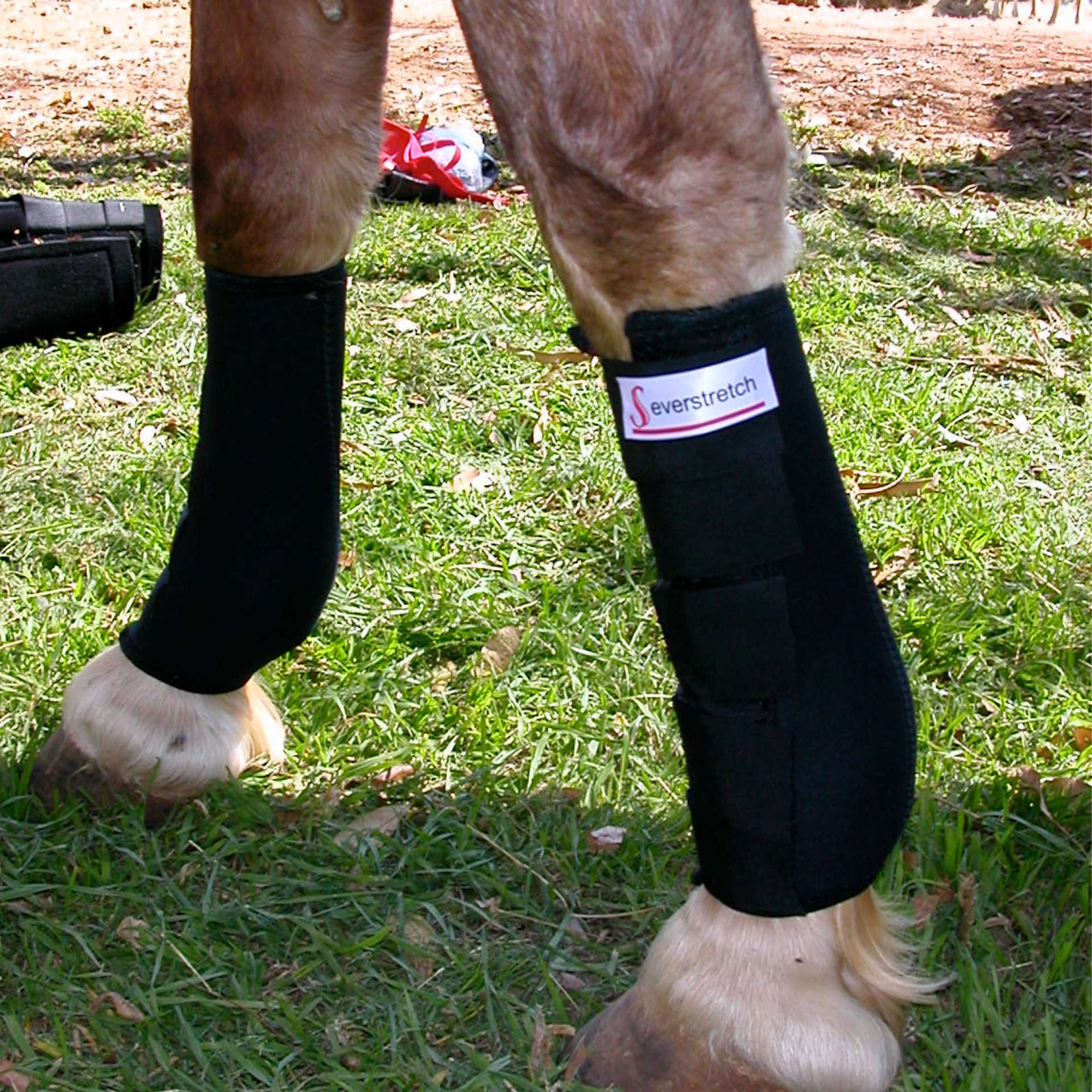Tendon & Ankle Boots Solo
