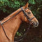 Reins Anti Grazing Solo