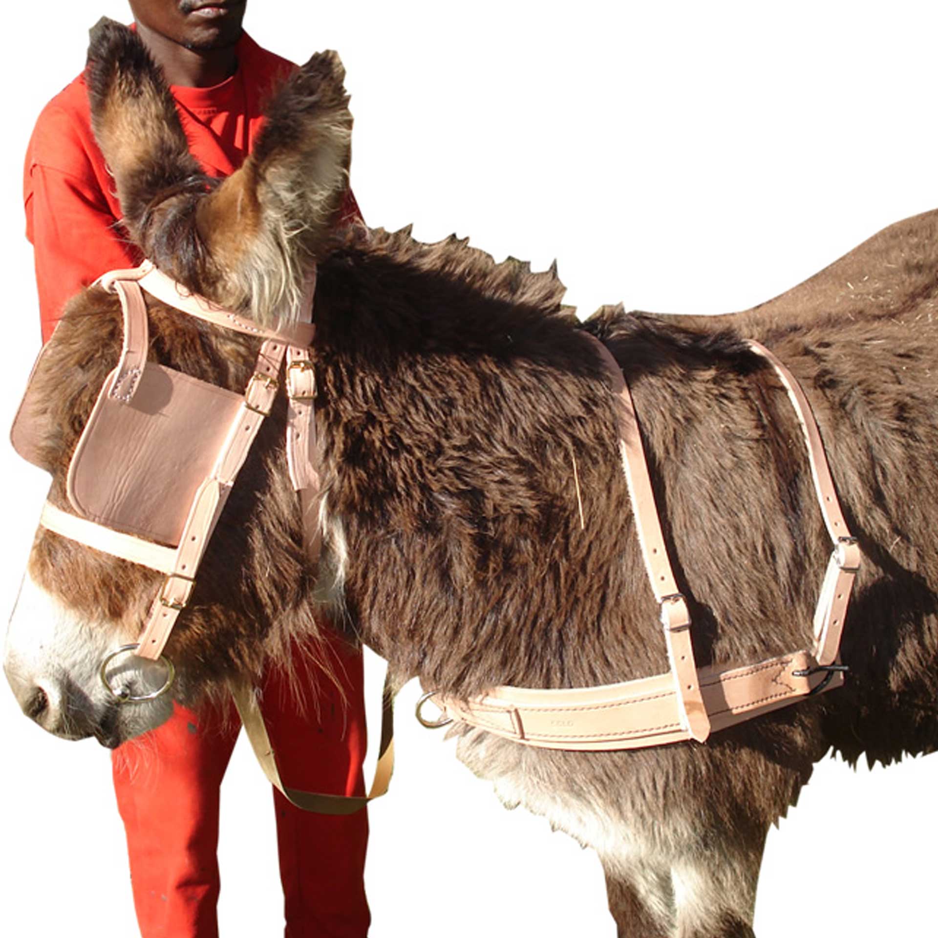 Bridle Donkey Leather + Bit Solo