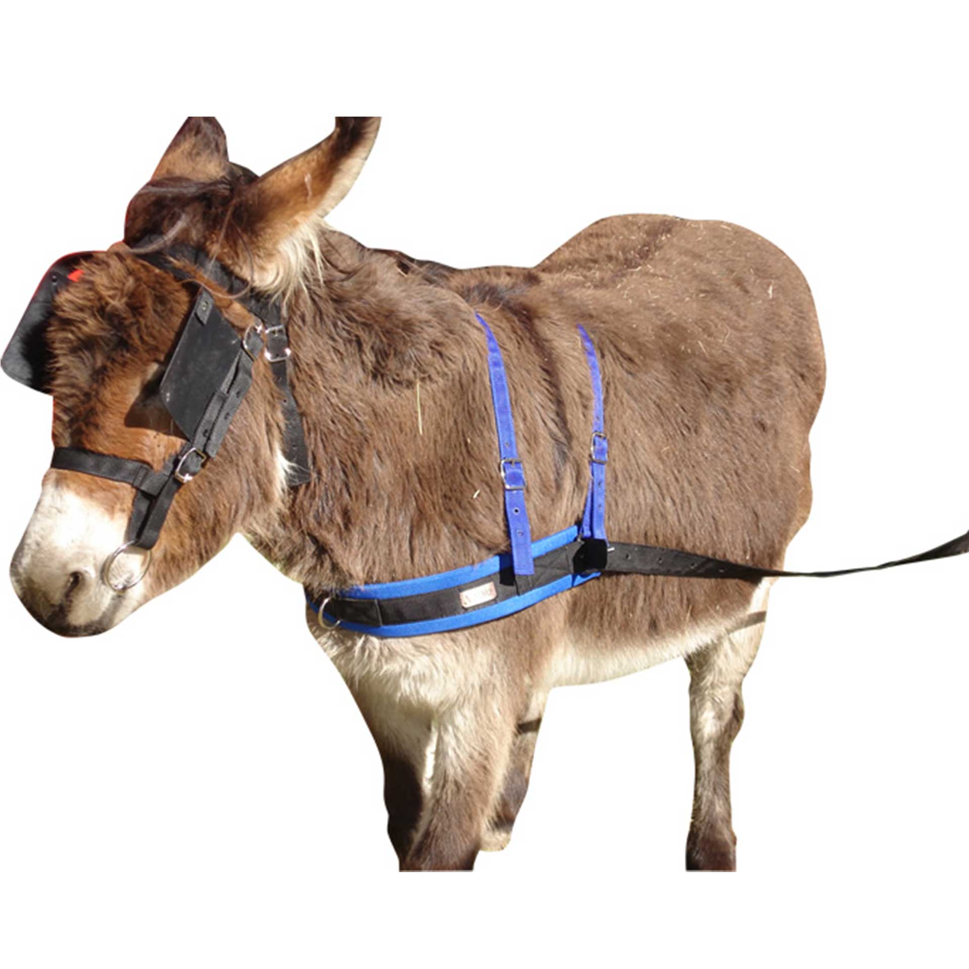 Bridle Donkey Nylon + Bit Solo